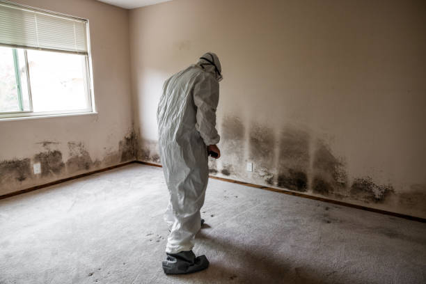 Best Commercial Mold Removal  in Duboistown, PA